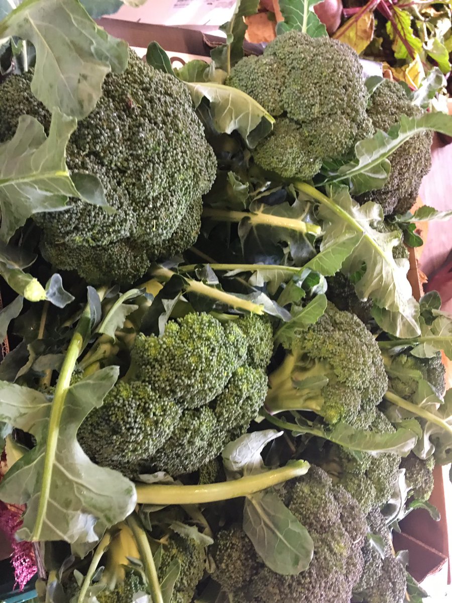 veg_box's tweet photo. Beautiful local #LambBoxes available today sourced from #OtteryStMary #devon #DevonLamb #Mint #Devonveggies @devonhour @devonfoodlovers https://t.co/HIVdF8LXs5