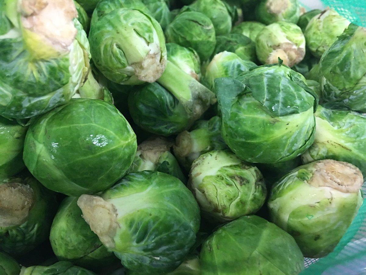 veg_box's tweet photo. Beautiful local #LambBoxes available today sourced from #OtteryStMary #devon #DevonLamb #Mint #Devonveggies @devonhour @devonfoodlovers https://t.co/HIVdF8LXs5
