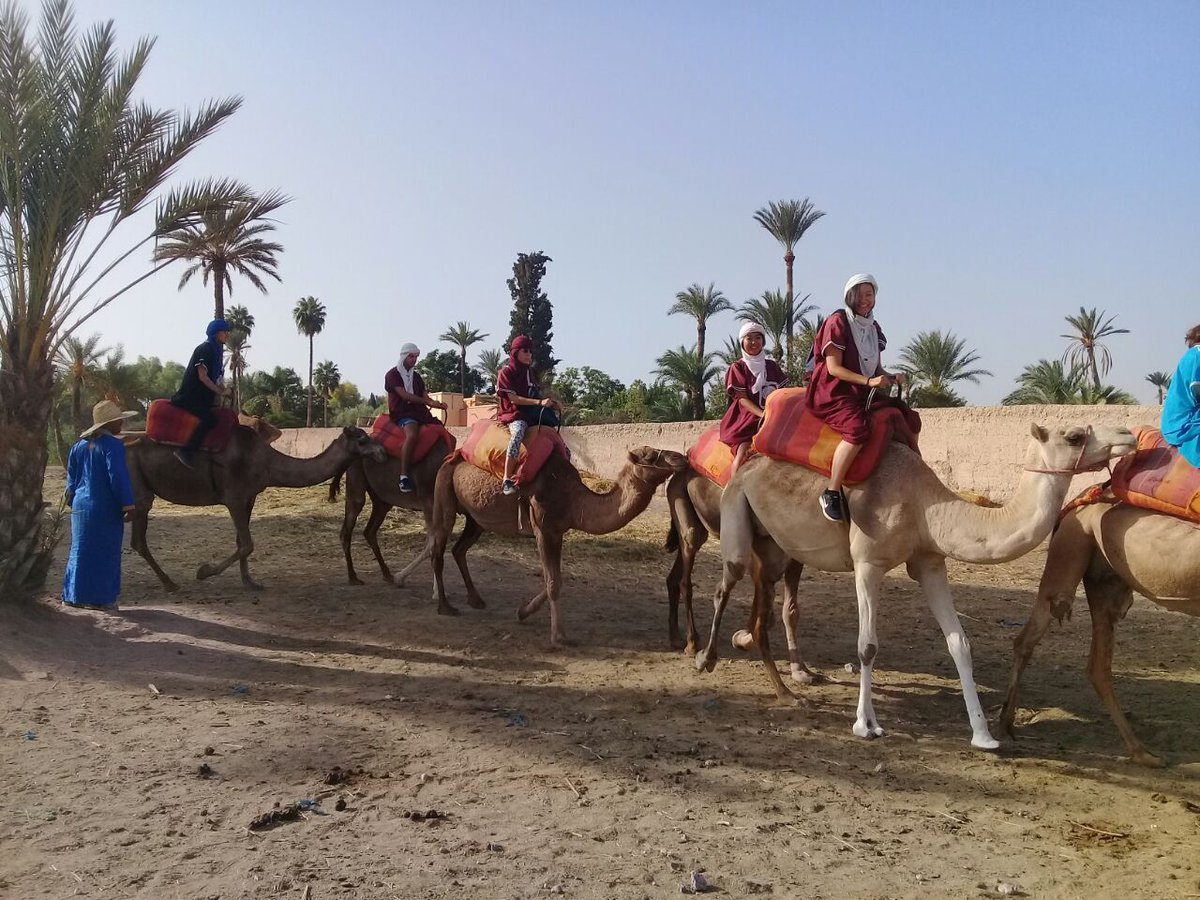 ClickExcursion's tweet photo. Yesterday doing the #camel #ride in #Marrakech 
I never thought it would be much more fun 
with #ClickExcursions https://t.co/NkhuInrmUm