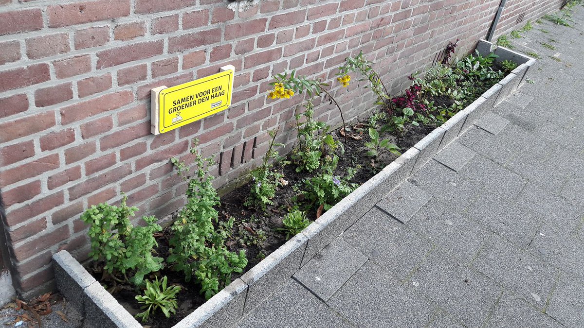 Mooie dag voor <a href="/duurzaam_dh/">Duurzaam Den Haag</a>! <a href="/HeleenWeening/">Heleen Weening</a> &amp; <a href="/Bosbaas/">Bosbaas Edwin</a> zijn te gast bij <a href="/omroepwest/">Omroep West</a>. Daarna aan de de slag: facebook.com/events/1817327… #dvdd