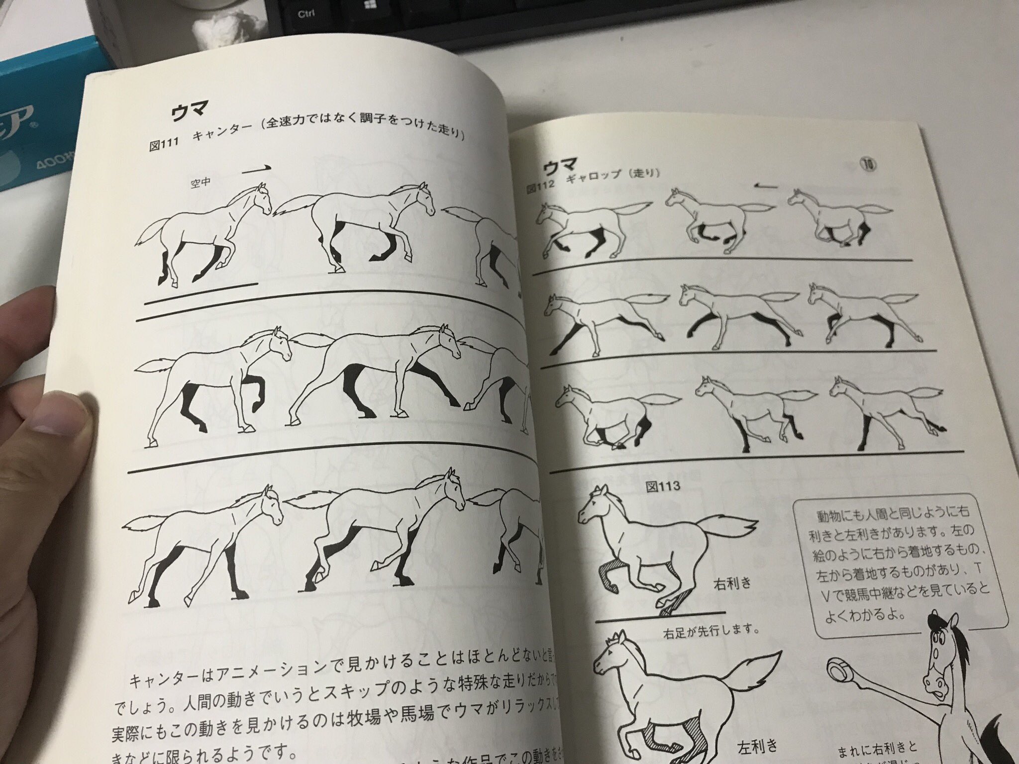 ジョらえもん(JORA) on X: 