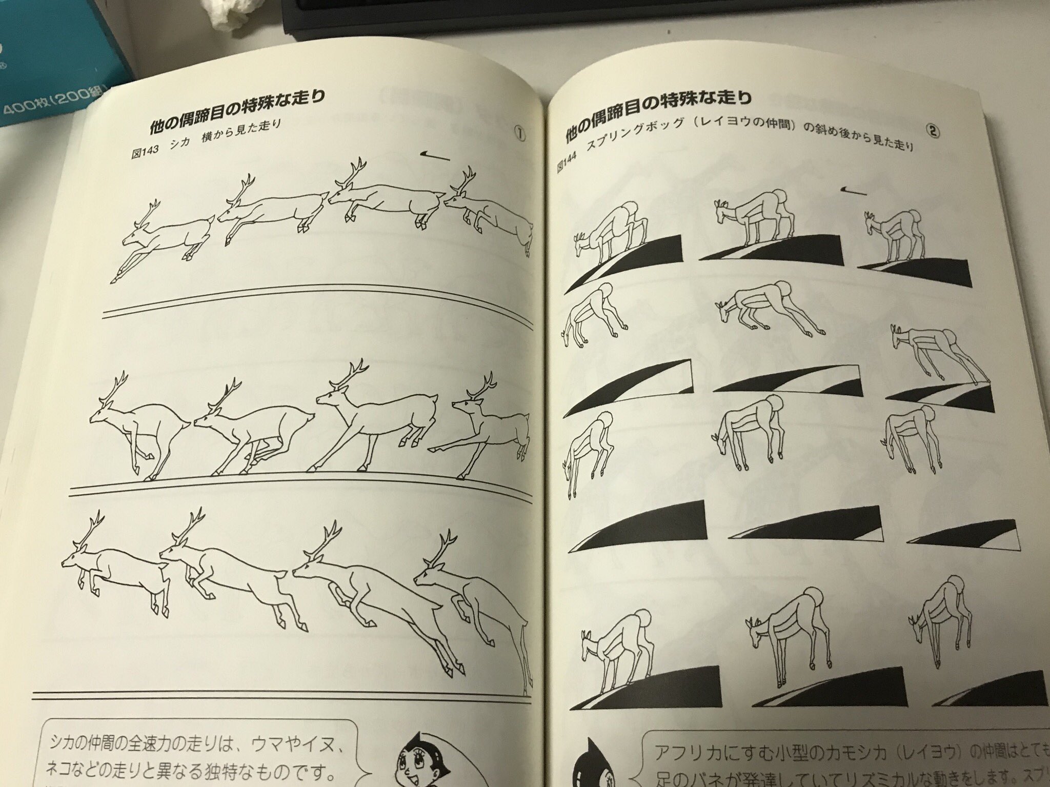 ジョらえもん Jora そうそう 手塚治虫といえば わしはこういうアニメーションの本を所有していたりするんですが これすごい本なんですよ アニメの基本的な描き方が載っているのもそうなんですが なによりも動物のアニメ作画がわんさか乗ってる 馬 ジョらえもん Jora そうそう 手塚治虫といえば わしはこういうアニメーションの本を所有していたりするんですが これすごい本なんですよ アニメの基本的な描き方が載っているのもそうなんですが なによりも動物のアニメ作画がわんさか乗ってる 馬