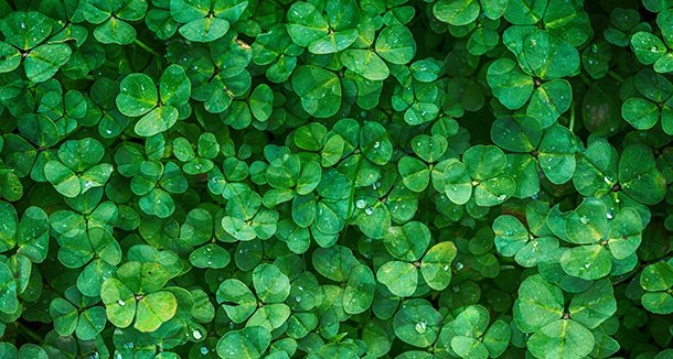 Elonion_CLoop's tweet image. ♣

돌이킬 수 없어서 이렇게 후회하고
잊을 수가 없어서 평생을 가져가요
미약했던 나의 용기를
초라했던 나의 한심함을 이젠 용서해요

youtu.be/pUdMcEien1Y