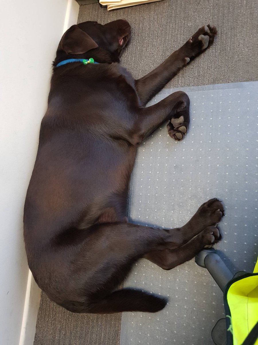 Aussie Concrete Aussieconcrete Twitter