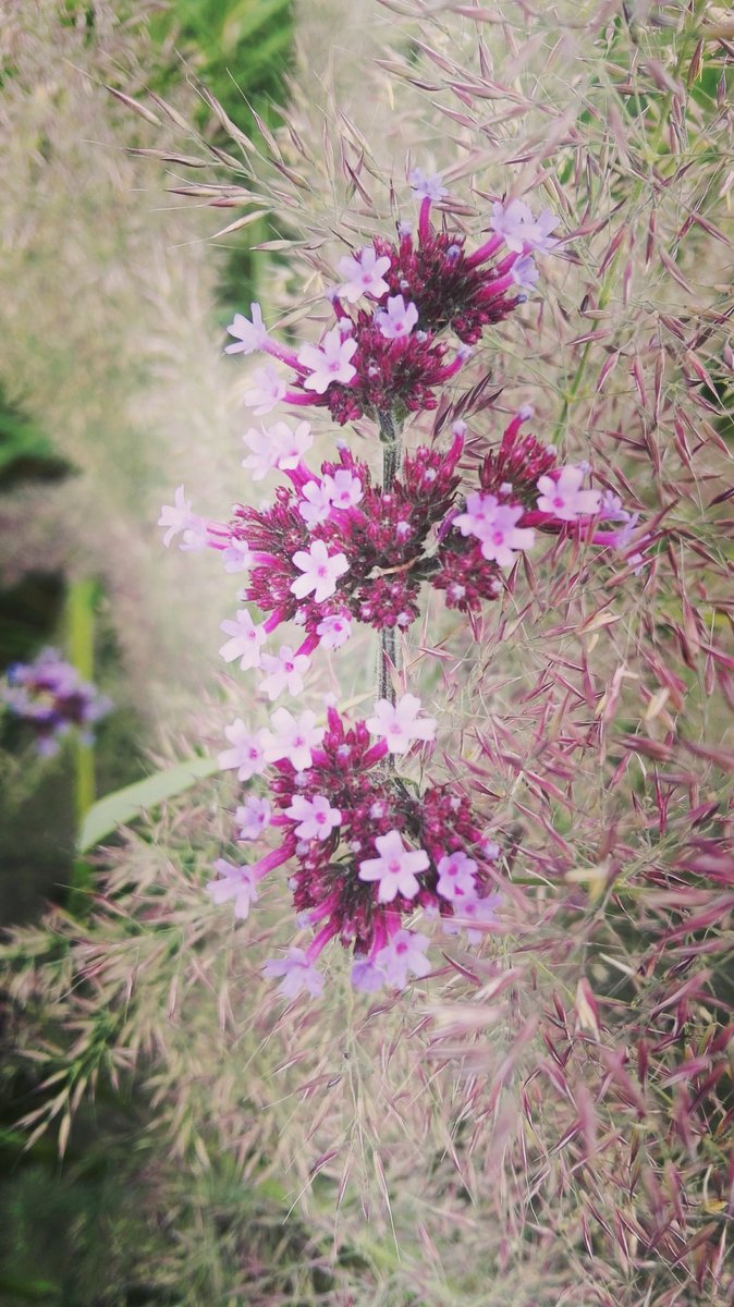 Allen einen entspannten Tag