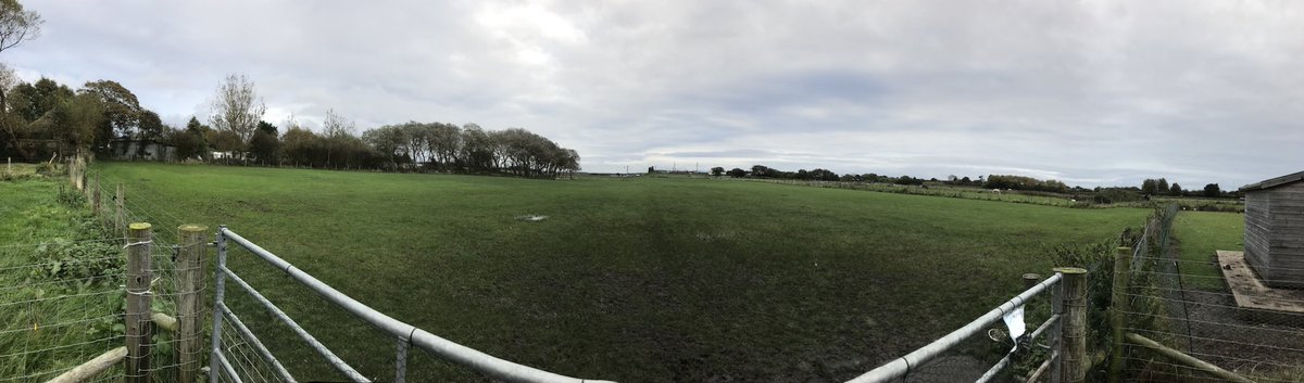 Doggyvipfield1's tweet photo. Our first field you get 2 of these &an inner woodland #securedogfield #secureprivatefields #securefields #sefton #northwest #formby #lancs https://t.co/PM9rDjYACn