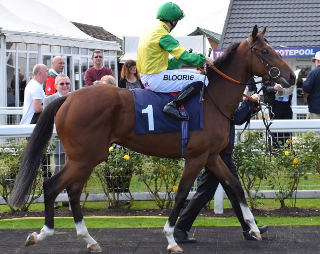 Bloor_IE's tweet photo. @Blooriedotcom races with Martin Harley today at Brighton in the 3:45 race over 7f and 211yards - read more here!   https://t.co/0cV5kqNv5Q https://t.co/Ann7ltTYrf