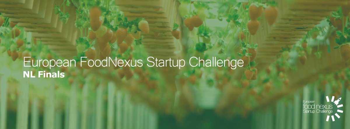 StartLifeNL tweet media