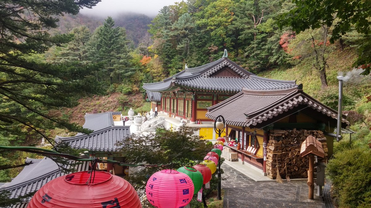 bhlava's tweet photo. Wonderful temples, delicious food, friendly people and many more. #SouthKorea managed to exceed my expectations! And for me, #Seoul is one of the best big cities. https://t.co/FdS7X38LZl