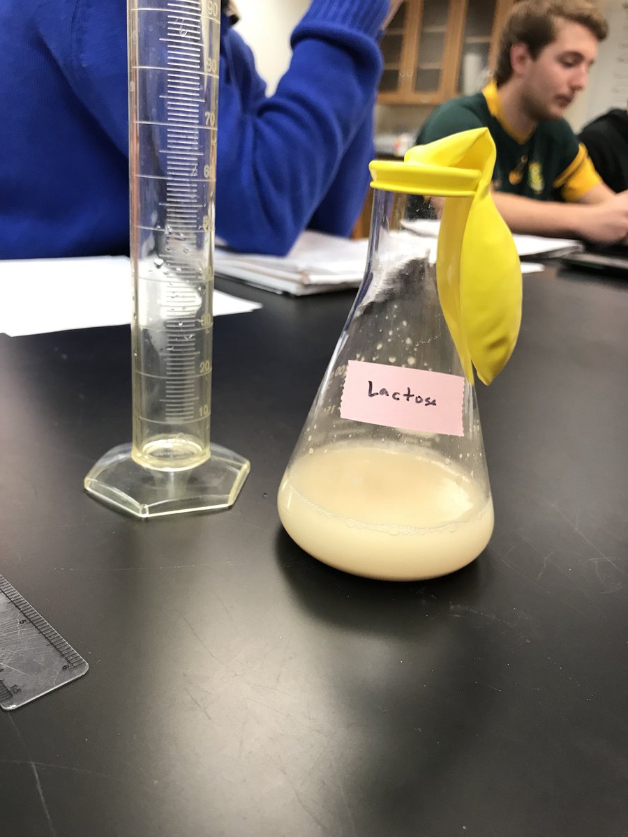 MummConnor's tweet photo. Watching aerobic respiration take place @UNKBiol106CW #106F17week8 https://t.co/3GsX5I3zjO