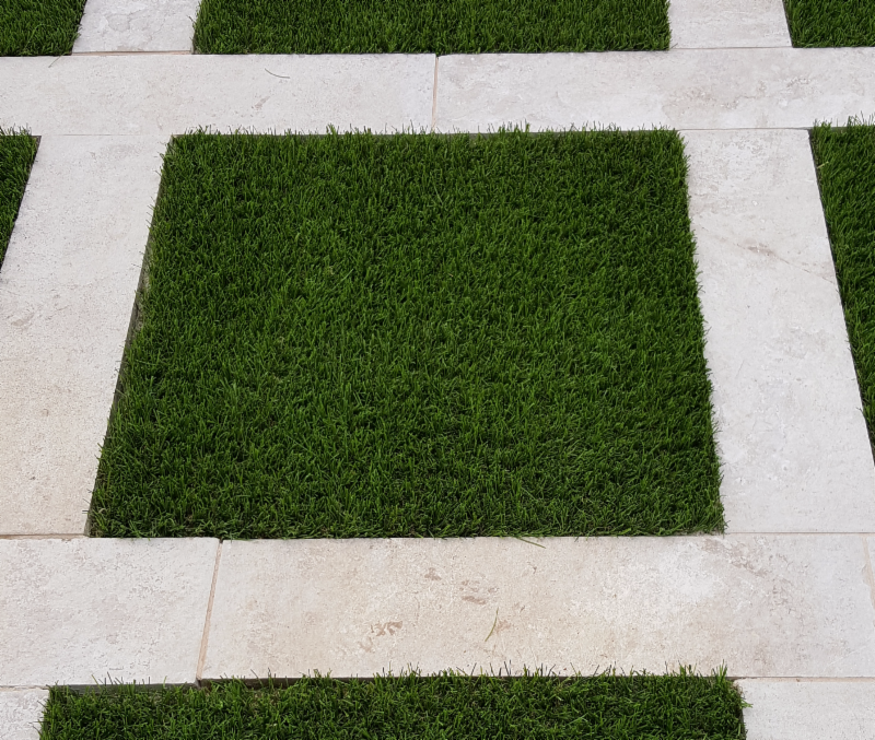 TerraVerdeLS's tweet photo. GRASS-LESS and still GREEN https://t.co/1D3ZUi20eH https://t.co/F4lHQE2HT9