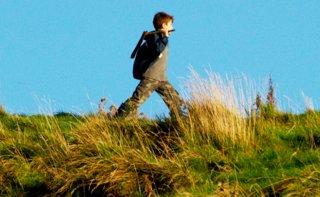 Flex app by Do Something Different tweet media