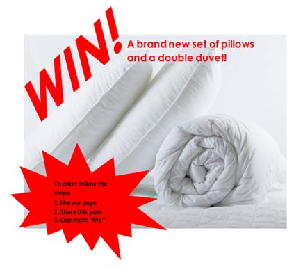 Bed Factory Direct tweet media