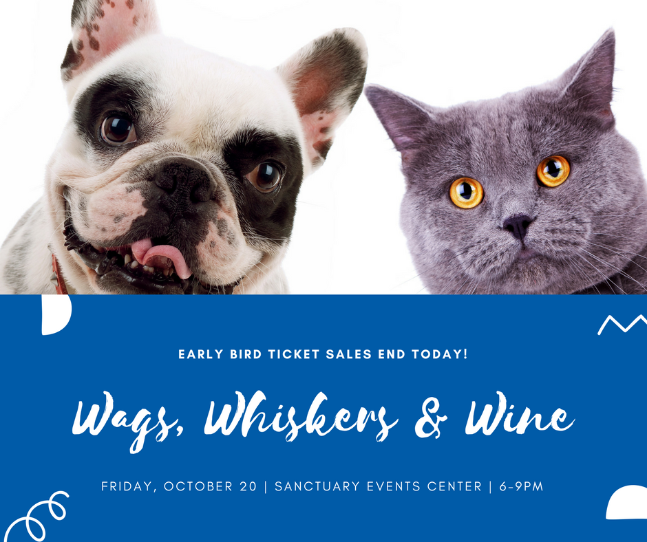 Last day to get in on the early bird tickets for #WagsWhiskersWine17! Don't delay, get your #tickets today! eventbrite.com/e/wags-whisker…