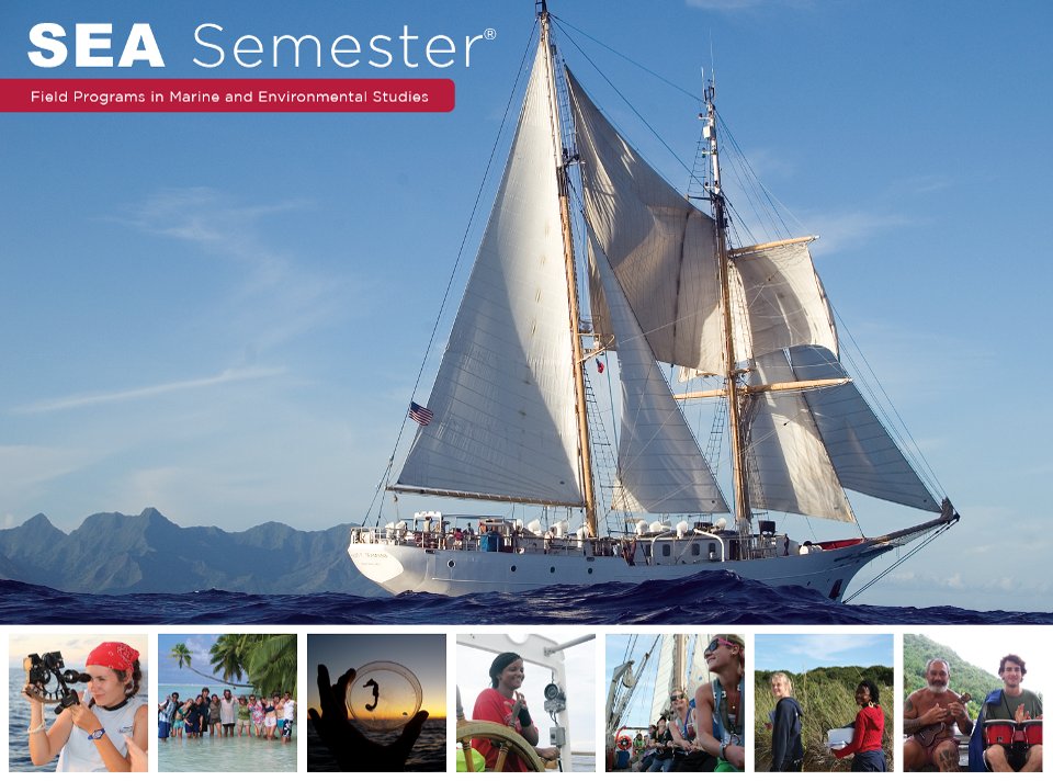 ECMarineScience's tweet photo. Adventure with Purpose! 5:15PM TODAY @eckerdcollege @ECMarineScience hosts @SEA_Semester info session, hands-on #ocean research #SEASemester https://t.co/EjBakdYier