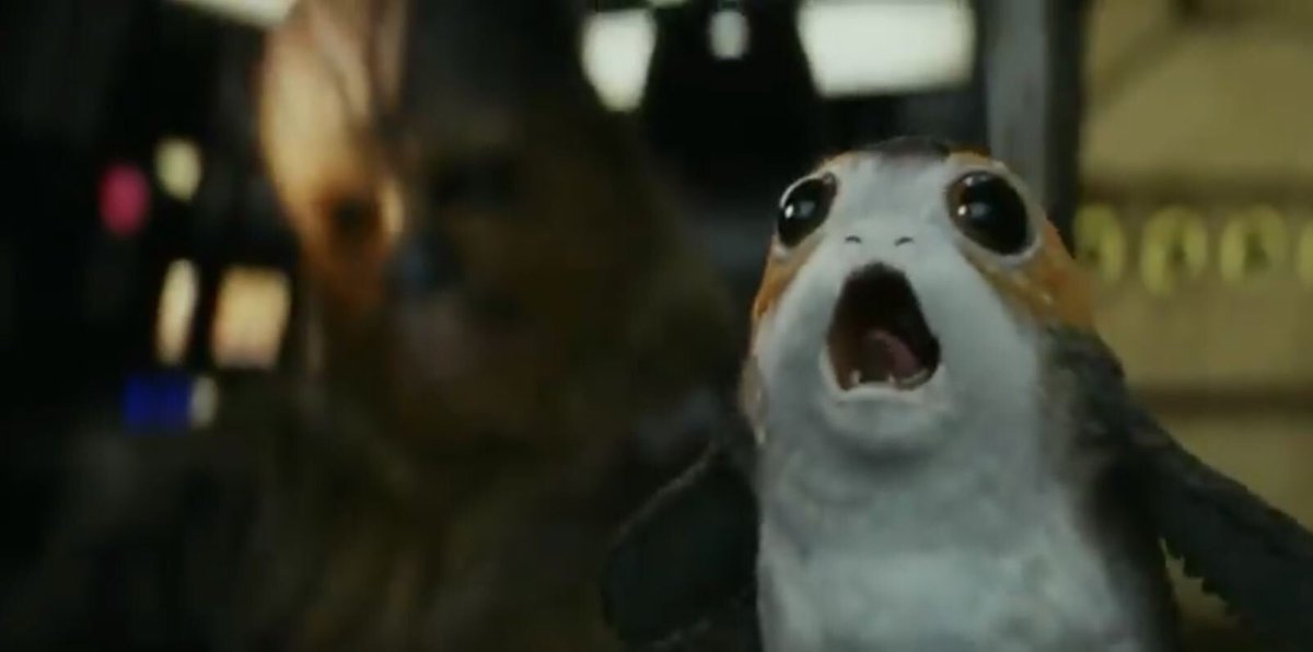 I was the cutest furry companion of the galaxy. Well, until that little hairball appeared.