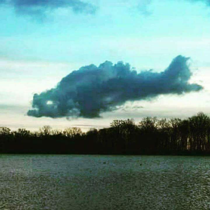 ReelJedi's tweet photo. The waters callin!
@SaltLifeSteph 
@OKIEfishingChik
@scortworkz
@fishingiowa88 
@SOUTHERNFRIES 
@BamaOutdoors
@onebadbass
@BassFishnTips https://t.co/1XB7FYfFmG