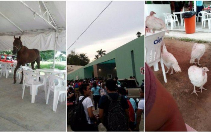 Tabasco HOY tweet media