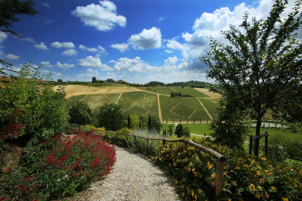 #Moferrato view from the #WineRelais <a href="/TenutaSCaterina/">TenutaSantaCaterina</a>. So nice to look like a painting: goo.gl/gNHoou
#wine #piedmont #vino #vine