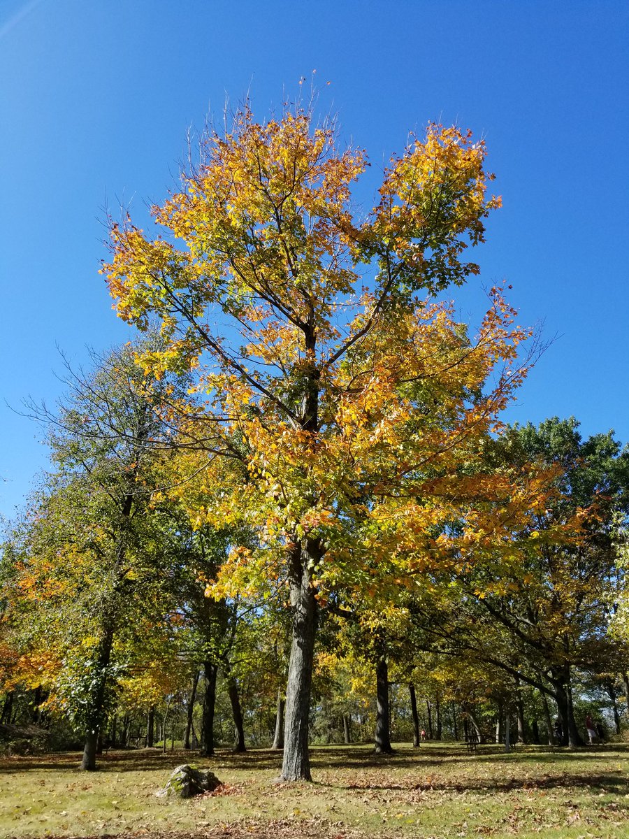 Blue Mounds State Park.
#travelWI