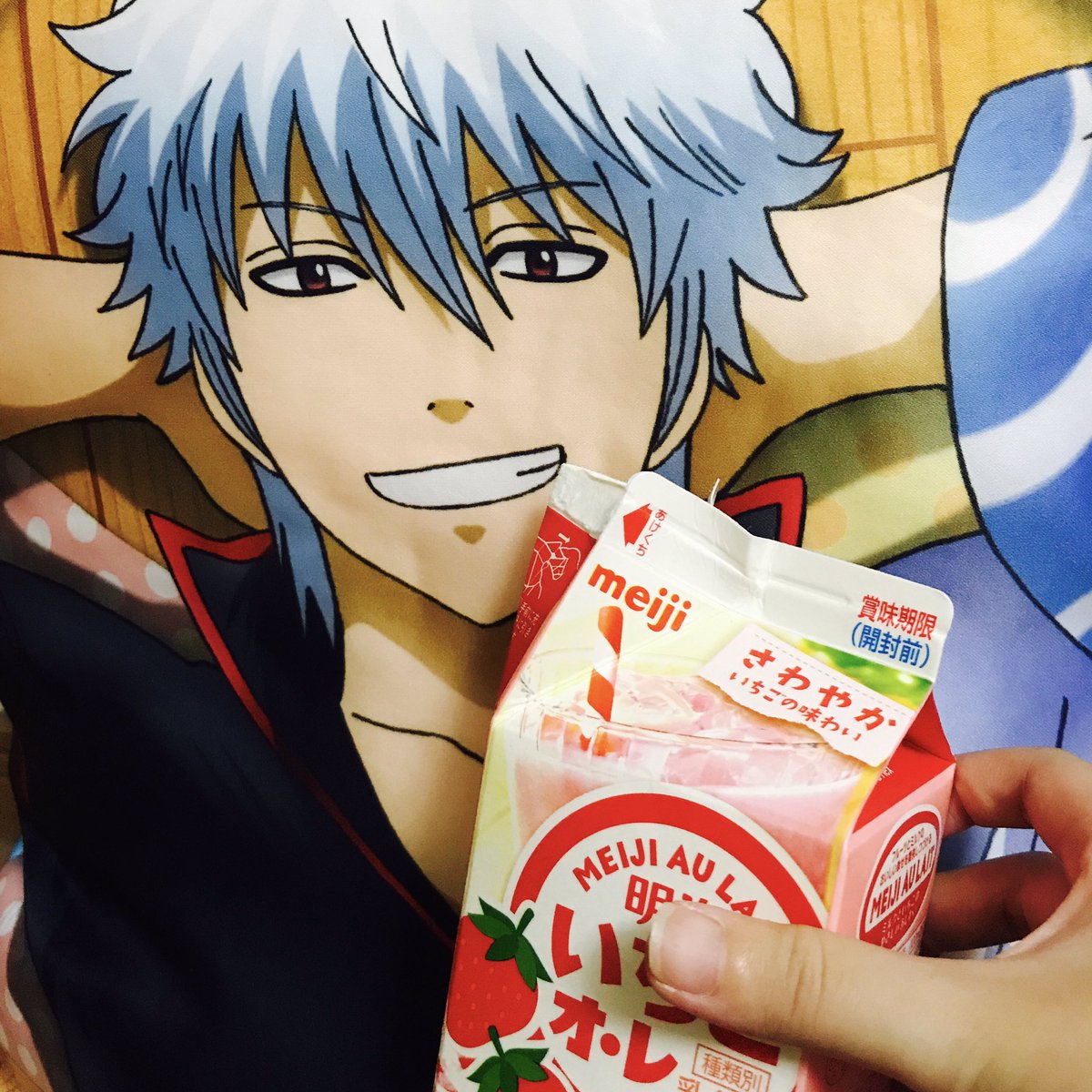 定常 スキニー ミンチ 坂田 銀 時 いちご 牛乳 Brindle Breeder Com