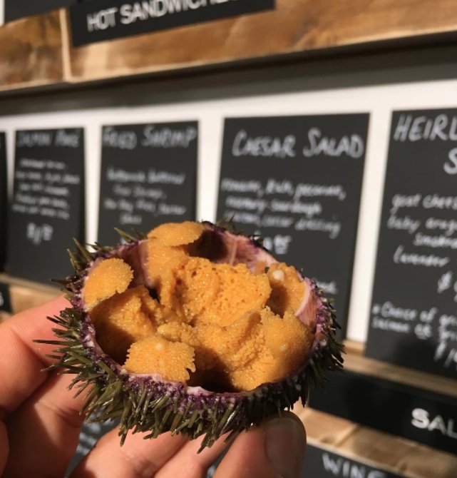 Incredibly plump Maine sea urchin from the raw bar. #uni