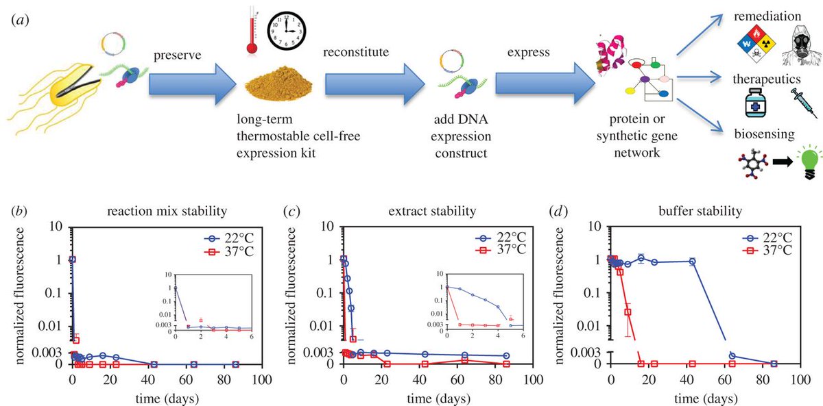 ゆきまさかずよし タンパク質合成系 Dna用意すればタンパク質作れるので研究に手頃なんだな 大量生産には向かない T Co Is14aklljv カプセルにdnaとエネルギー源のアミノ酸を入れれば生産 半透膜で老廃物 生きてないけど を排出する構造になっ