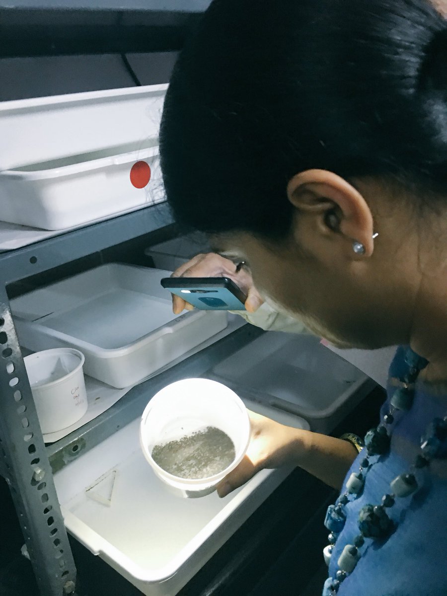 AnupriyaSPatel's tweet photo. Visited ‘National Institute of Malaria Research’ Laboratory Bangalore. #HardWorkingScientists @ncdirindia @ICMRDELHI @MoHFW_INDIA https://t.co/yNdIXqnDWr