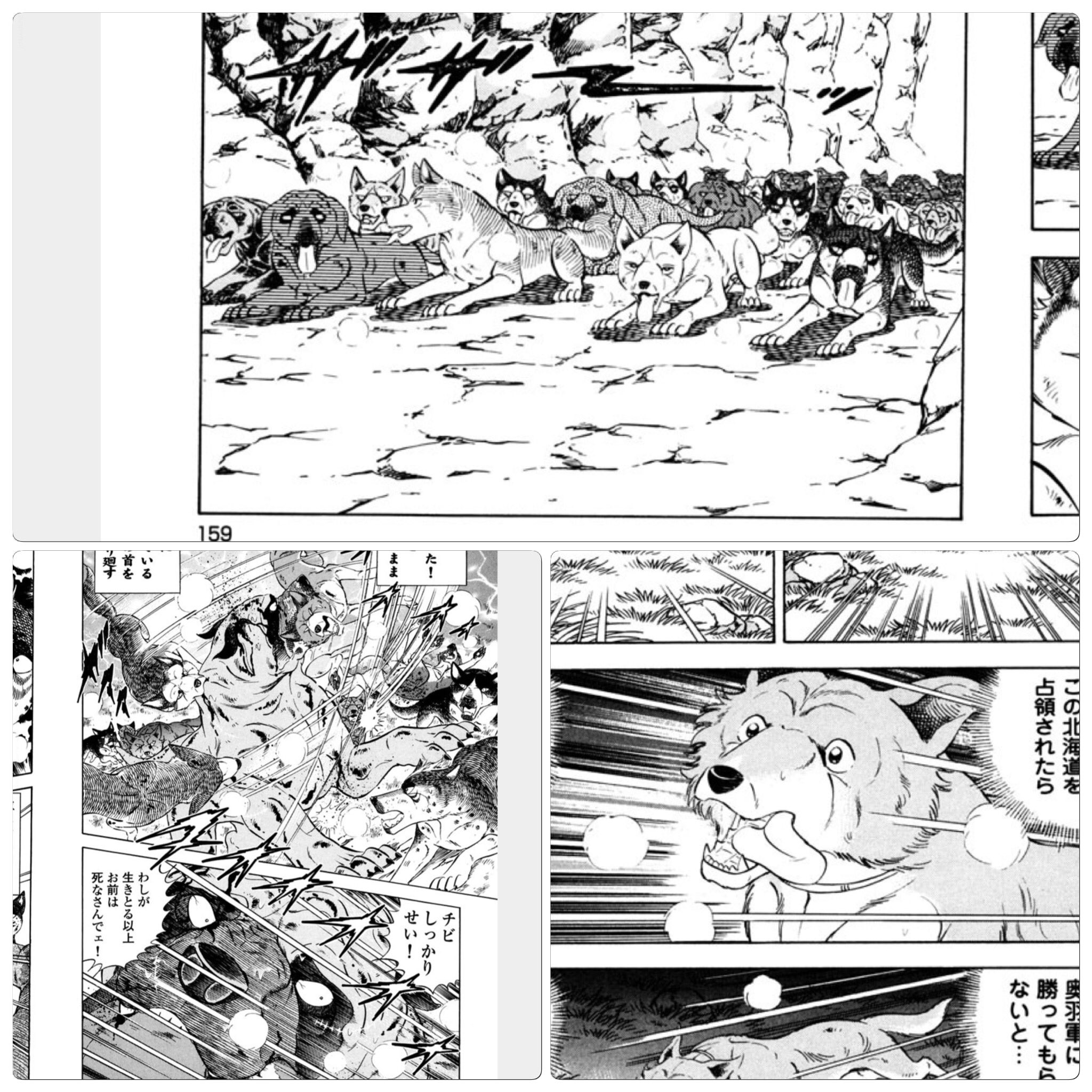 黒虎 銀牙伝説weed 銀牙伝説ウィード こう言う犬らしい舌の描き方凄いなって思う 自分が描いたらバランス取れなそうだし あとモスじいと哲心のおじいちゃんと孫みたいな関係大好き N 黒虎 銀牙伝説weed 銀牙伝説ウィード こう言う犬らしい舌の描き方凄いなって思う 自分が描いたらバランス取れなそうだし あとモスじいと哲心のおじいちゃんと孫みたいな関係大好き N