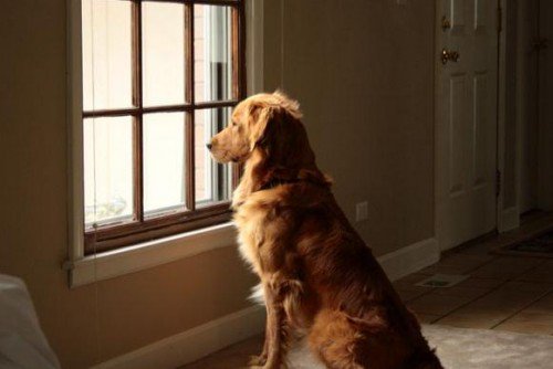 FullTeam Football tweet media