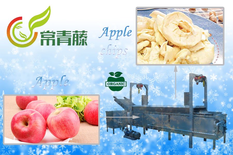 Ivy_cqt's tweet photo. Popular snack - Apple chips
https://t.co/4w4FxXUJU4          
#Apple #Applechips #Chips #Sweet #Delicious #Fruits #luochuan #snack https://t.co/r7qJdIkTEw