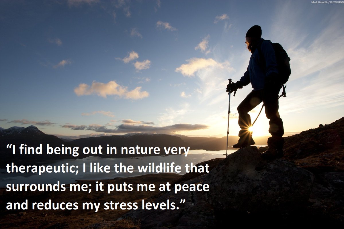 #WorldMentalHealthDay2017