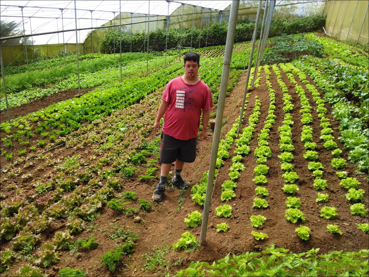 A Costa Rican's family journey into #organicfarming, Hannia Vilalobos Martinez shares her story <a href="/owc_India/">OrganicWorldCongress</a> <a href="/IFOAMorganic/">IFOAM - Organics International</a> #Farmers #food