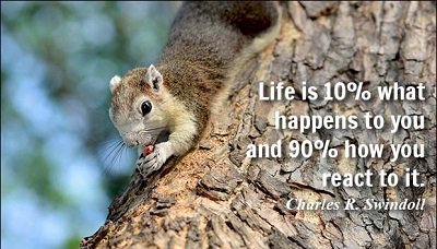 Modesty_SWL's tweet image. 