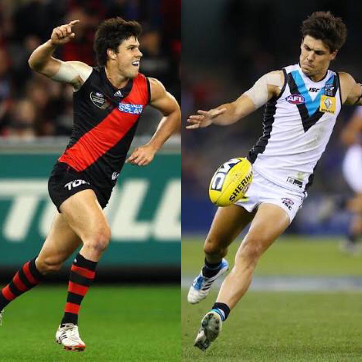 Angus Monfries tweet media