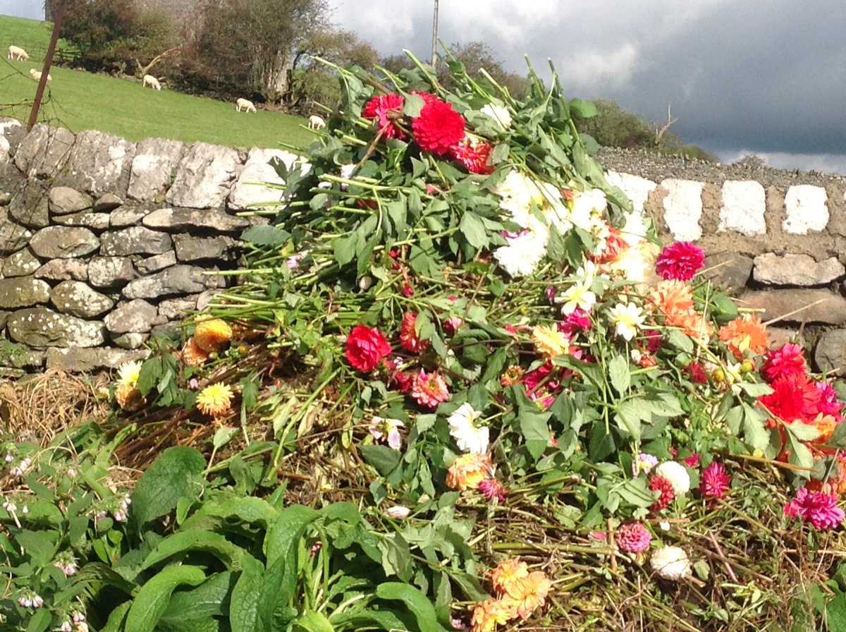 Jack Gott tweet media