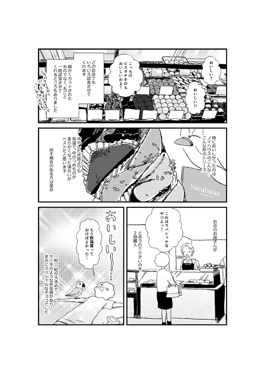 ベルギーのチョコレート屋さんのことについて描きました。 