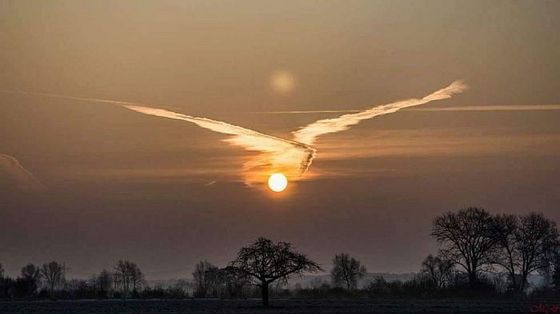 Jewel Fish 奇跡的にとらえられた鳥のような不思議な雲が神秘的すぎる