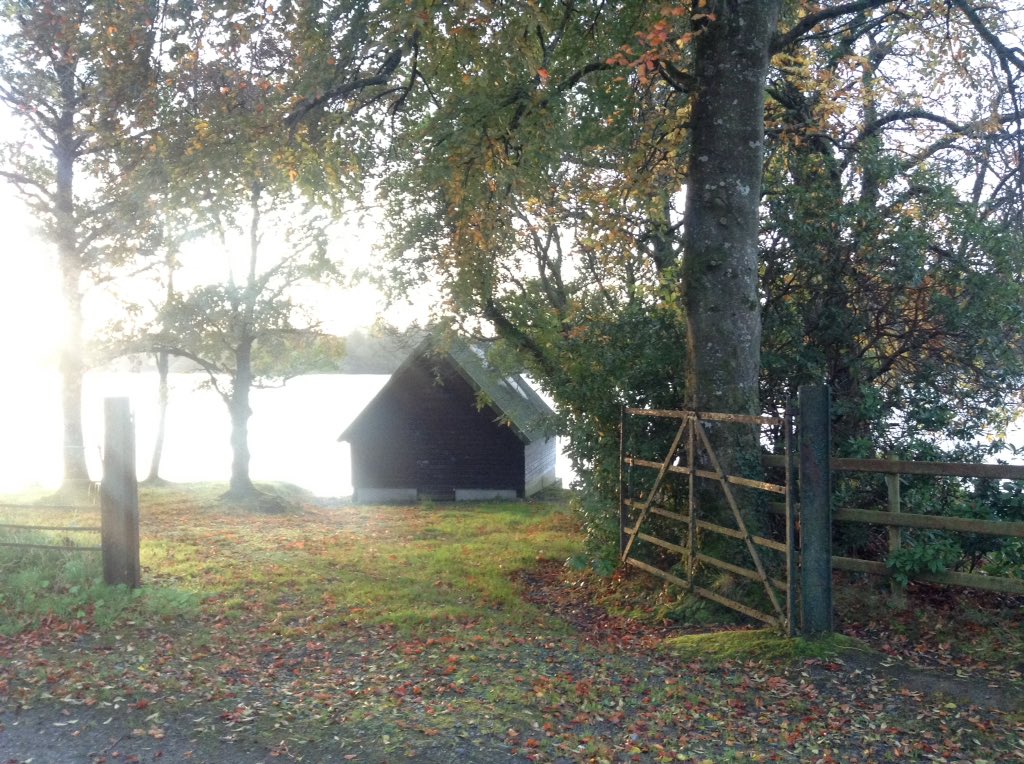 bstacey29's tweet photo. The inadequacy of words ......#@TyroneGuthrie #centreground #residency #realign #languageofpaint https://t.co/V7H99jpWxA