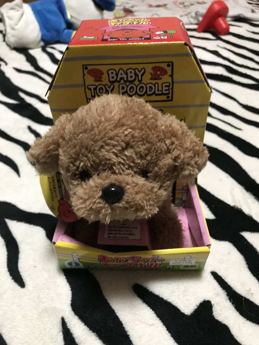 なぁ汰 ダックス トイプー だぶｸﾝにおにゅーのおもちゃ ビビる事なく噛む振り回すw あーんど おっとっとの小分けシリーズ これゎありがたい 前のやと開けたらすぐあげなあかんかったし 小分けなら食べすぎない トイプードル 犬のおもちゃ 犬用