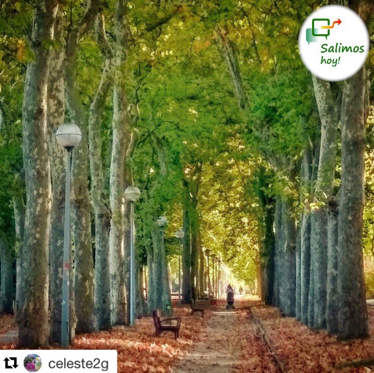 Salimoshoy_VG's tweet photo. #SalimosHoy
Fotografía original de @celeste2g ・・・
Parque Olarizu.
#fever_trees #tree_magic #great_world #world_besttravel #world_best_pics https://t.co/z7CZXBylL6