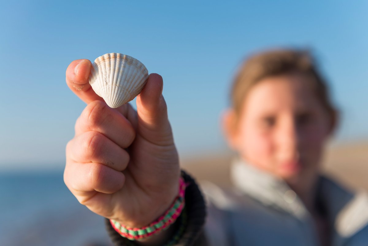 Ga 21 okt mee met Kustbeschermer op kinder-ontdekkingstocht naar  #Zandmotor #Kijkduin? Aanmelden via bit.ly/2g9OJiK