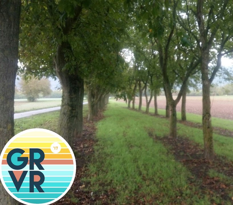 TrailRunningHD's tweet photo. It has been a rainy day on Sunday - a day to spend on the sofa instead of going out for a run. But with #GRVR17 i HAD TO RUN. Colorful! https://t.co/QQiMikMwzi