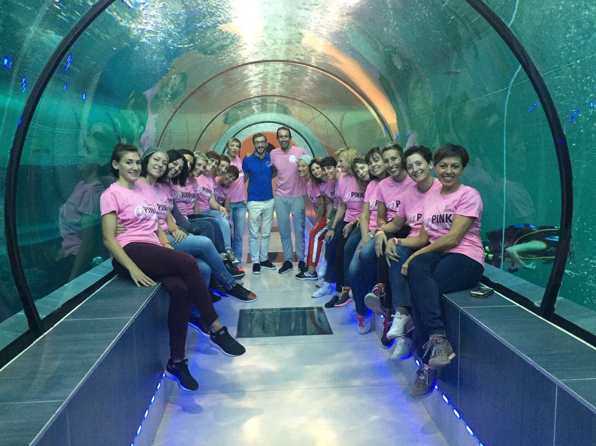 Y 40 The Deep Joy On Twitter Se Le At Pinkisgoodfuv