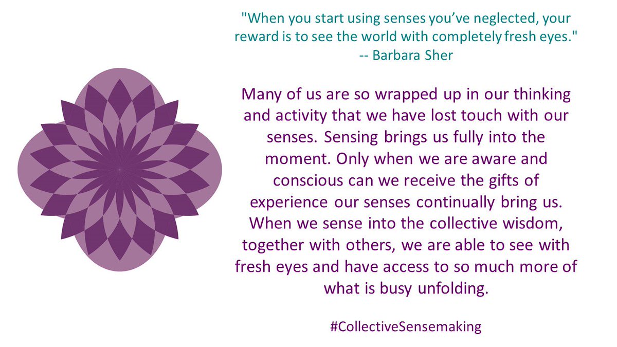 Sensemaker007's tweet image. Many of us are so wrapped up in our thinking and activity that we have lost touch with our senses. Sensing brings us fully into the moment.