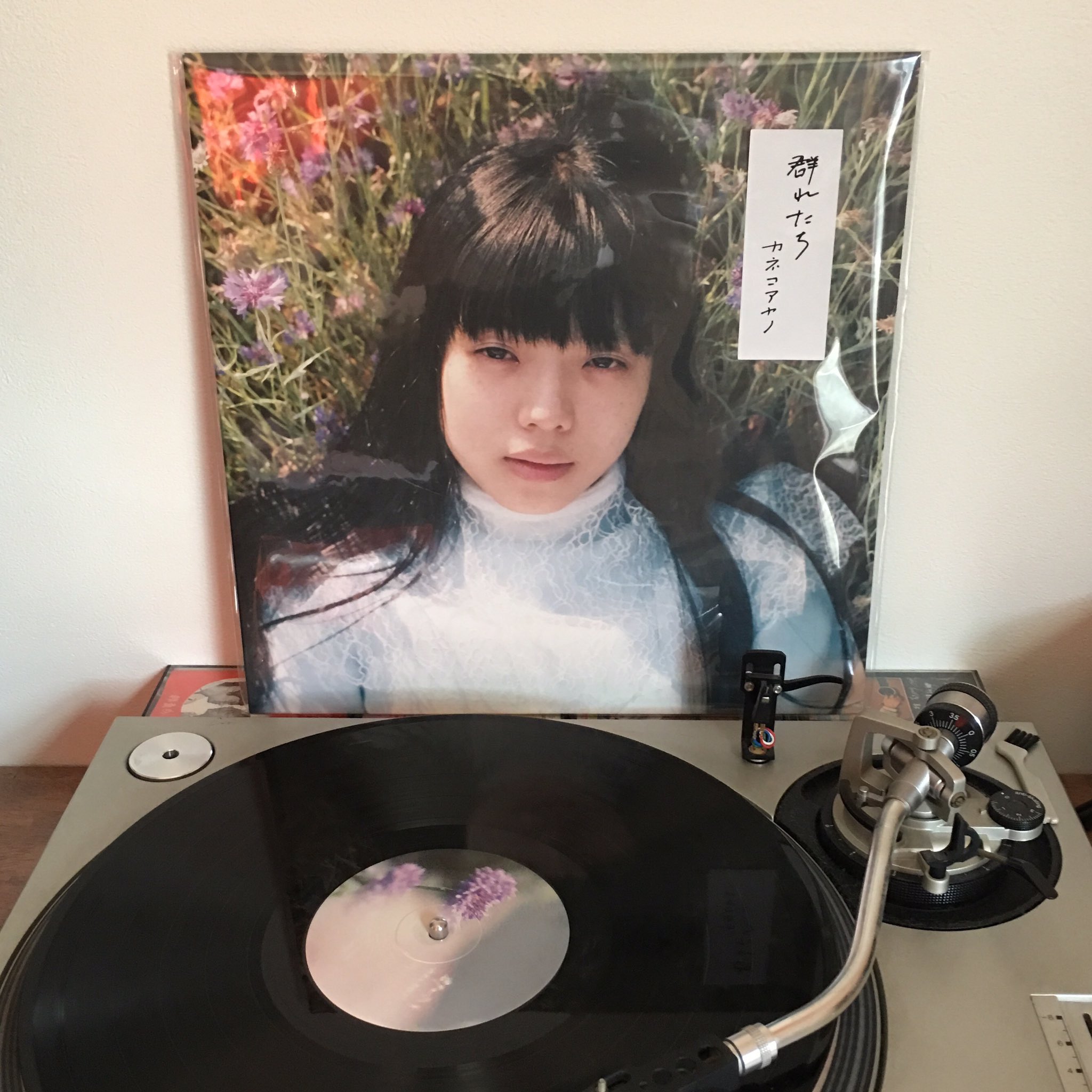 カネコアヤノ 群れたち サイン有 LPレコード - レコード カネコアヤノ 群れたち サイン有 LPレコード - レコード