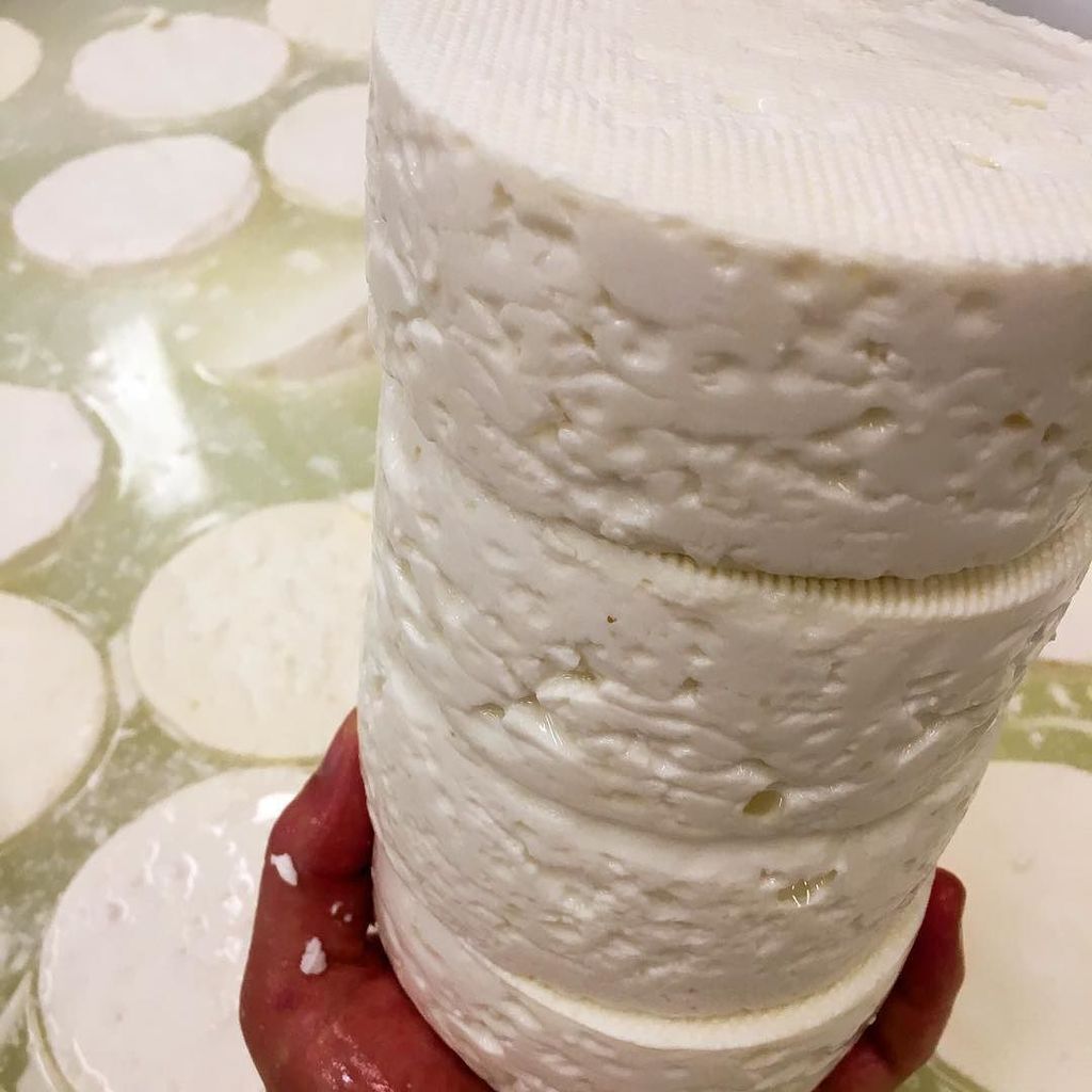 Brining the day away. Look for these plump Kinderhooks on the shelf in 2 weeks! #sheepcheese #farmfresh 🐑 ift.tt/2ydRV3h