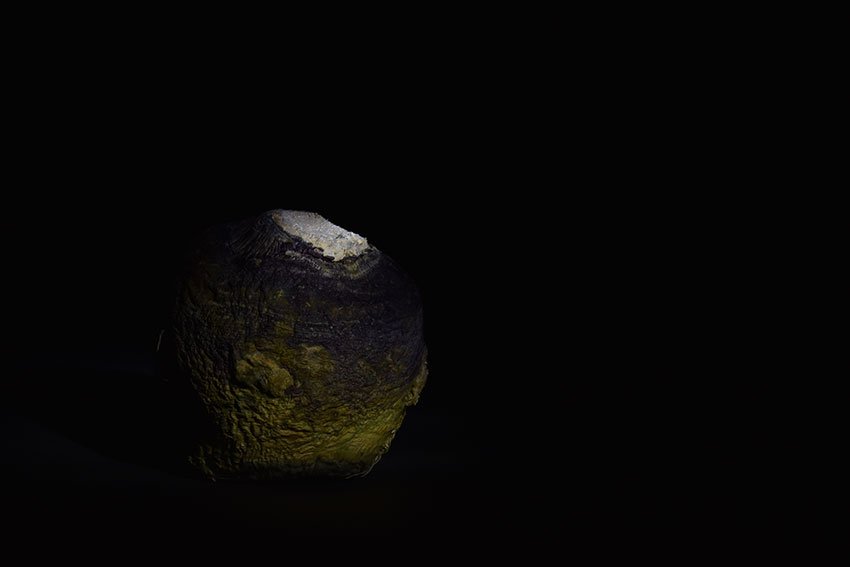 zad moultaka tweet media