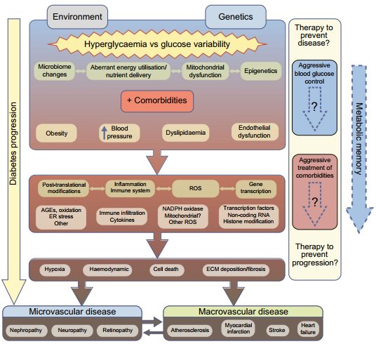 read introducción al maya mopan los itzáes desde la época prehispánica hasta la actualidad estudio interdisciplinario de un grupo