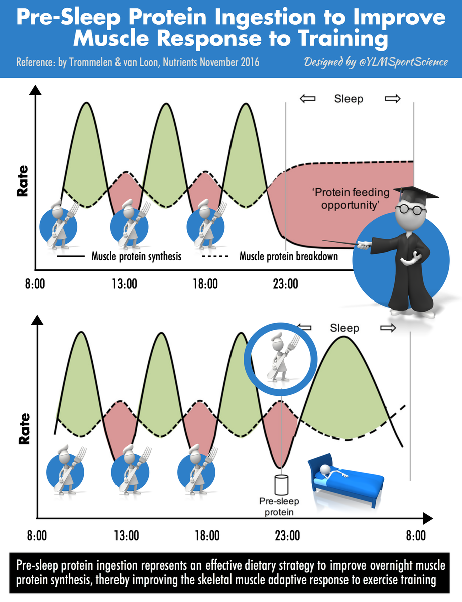 YLMSportScience's tweet photo. 💪🏻🍴😴 Pre-Sleep Protein Ingestion to Improve Muscle Response to Training 
📍https://t.co/drMAuxCeGe https://t.co/NKCuX3IwTm